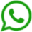 start seo whatsapp